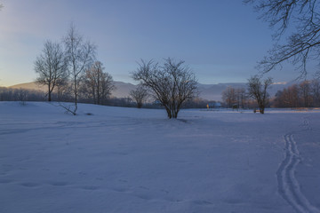 Winter Wonderland in morning light of the sunrise