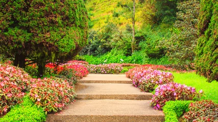 Poster de jardin Nature Stairs in a flower garden flower garden