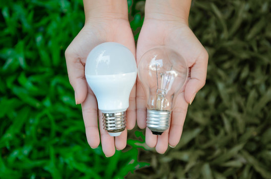 LED and Fluorescent bulb comparing on woman hand for alternative