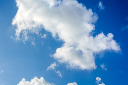 Clouds with blue sky , flying seagull