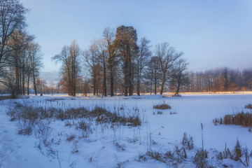 Winter Wonderland in morning light of the sunrise