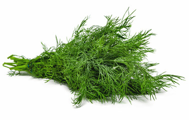 Dill