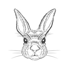 Vintage graphic Rabbit Vector Print
