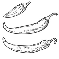 set of chili peppers isolated on white background. Design elemen