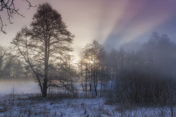 Winter Wonderland in morning light of the sunrise