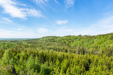 Fototapeta na wymiar Landscape View of a forest landscape