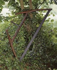 Outils du bois / Scie à débiter / Sabotier