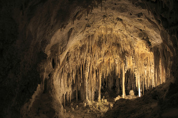 Parc National des grottes de Carlsbad / Nouveau Mexique