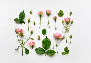 Decorative pattern with pink roses, leaves and buds on white background. Flat lay, top view