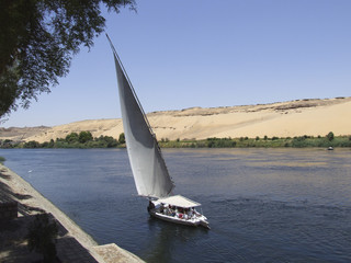 feluca sailing on the nile