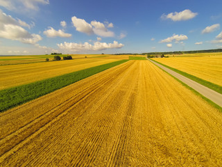 Aerial View Of A Field