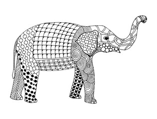 Elephant doodle zentangle illustration on simple white background