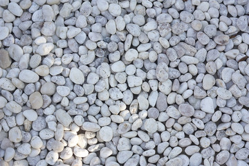 White pebble on the beach or garden ground, white rock pebbles background.