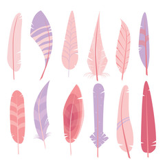 Digital Feathers Clipart in Vector on a white background.