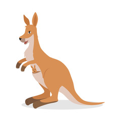 Kangaroo with Joey Baby in Pouch Isolated on White