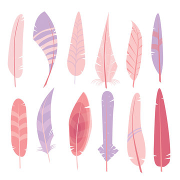 Digital Feathers Clipart in Vector on a white background.