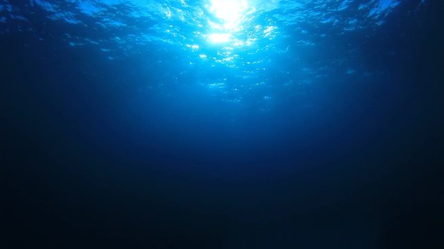 Underwater background in ocean with sunlight