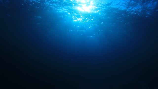 Underwater background in ocean with sunlight