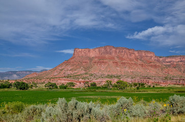 Fototapeta premium red rocks of Mesa Canyon and green valley of Dolores river near Unaweep-Tabeguache scenic byway Gateway, Mesa County, Colorado, USA