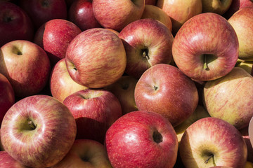 Äpfel.
