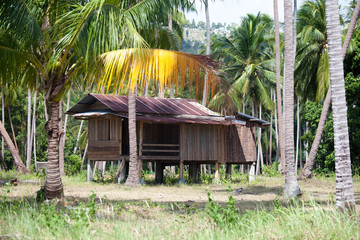 Fototapeta na wymiar cabane en bois dans la forêt tropicale