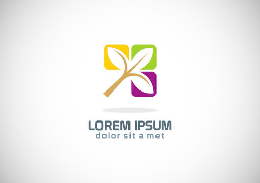 Abstract Flower Colored Logo