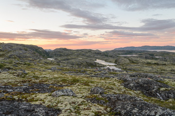 Fototapeta na wymiar Sunset on the tundra in the summer.
