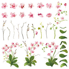 Orchid Tropical Flowers Floral Elements in Watercolor Style. Vector © wooster