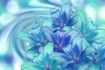 lily bright blue-turquoise on turquoise background. floral collage. flower composition.  For design. Nature.