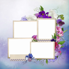 Frames for family and summer flowers on delicate background