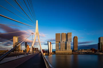 Abwaschbare Fototapete Rotterdam Erasmus Brücke, Rotterdam, Holland, Niederlande