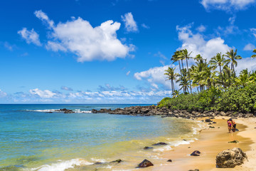 Laniakea Beach (Turtle Beach) on the North Shore, Oahu, Hawaii