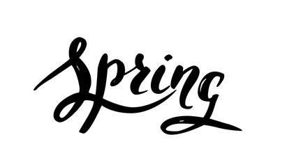 Vector handwritten brush script. Black letters isolated on white background. Spring