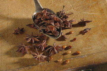 Illicum verum / Badiane / Anis étoilé