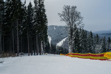 ski snow-covered landscape