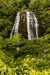Obraz premium Hawaiian Waterfall