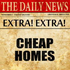 cheap homes, article text in newspaper