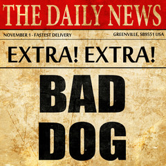 bad dog, article text in newspaper