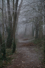idyllischer winterweg