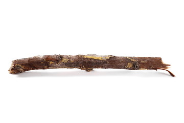  dry rotten branch birch with lichen isolated on white background