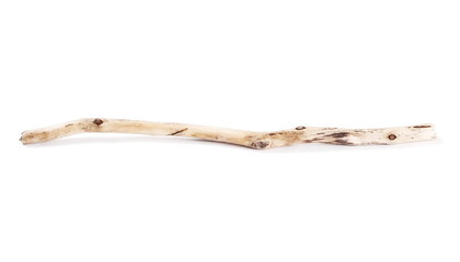  dry rotten branch isolated on white background