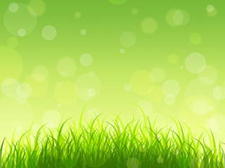 Obraz premium Concept. Nature awakens. Spring background. Young greens.
