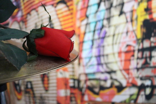 rose sur cymbale