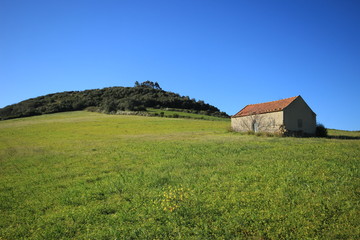 Obraz premium Old country house on a field of green grass