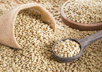 Fototapeta premium Lentil grains (Lens culinaris)