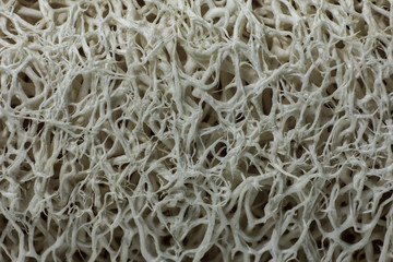 filament  texture