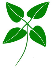 Commercial green cloverleaf logo on a white background
