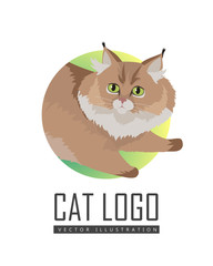 Maine Coon Cat Vector Flat Design Illustration