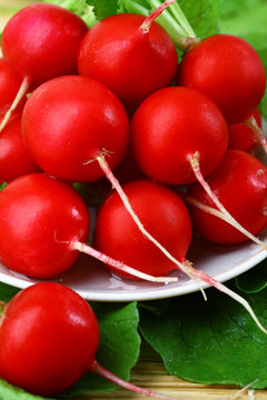 Red ripe radishes on a plate