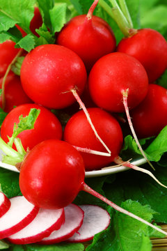 Red ripe radishes on a plate